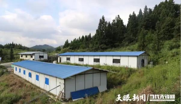 养殖致富能手事迹_养殖致富能手事迹材料范文_养殖能手致富