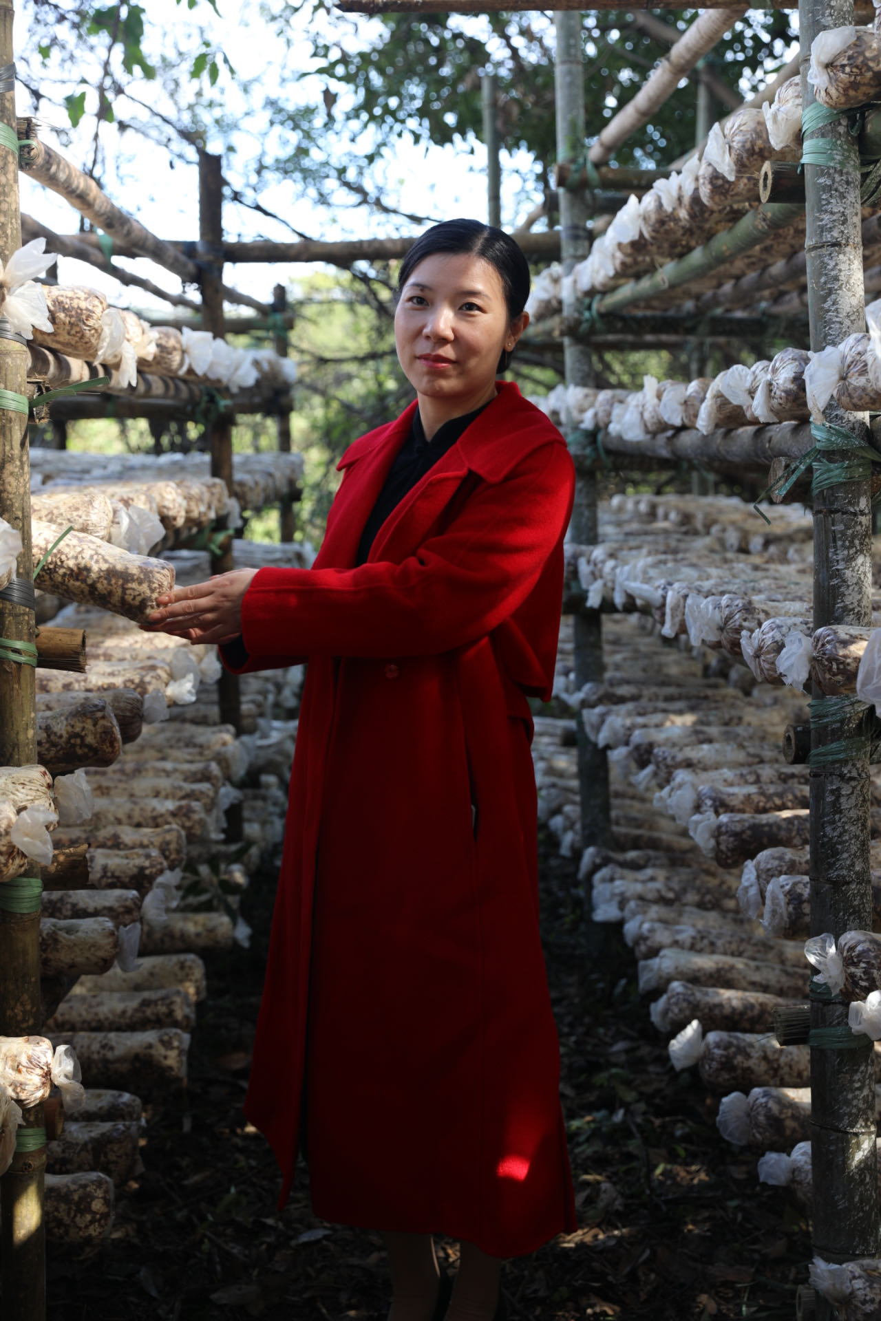 “中国好人”周姗：种菇能手深耕粤北山区，让小菌菇撑起产业“致富伞”