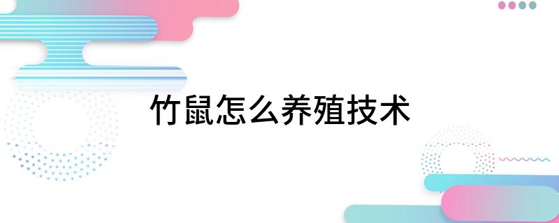 竹鼠怎么养殖技术