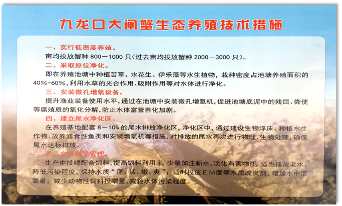 大闸蟹的养殖技术_养殖大闸蟹技术要求_养殖大闸蟹技术要点