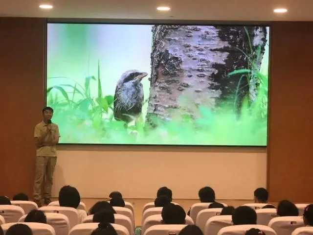 如何养殖斑鸠_斑鸠养殖视频每日农经_科技苑斑鸠养殖技术