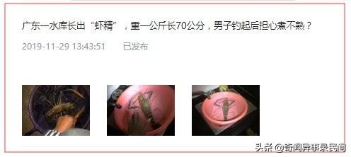 海南 河虾养殖技术_海南对虾养殖_海南养殖河虾技术培训