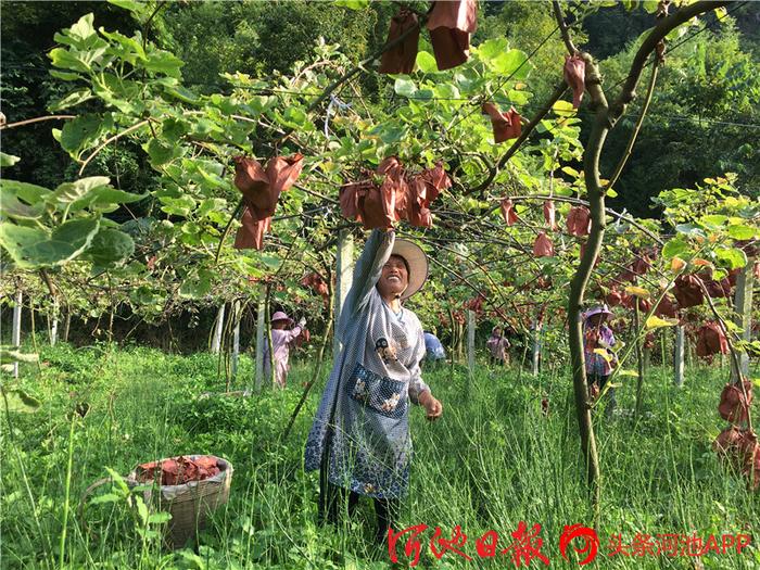 泗洪风力发电2020年_种植红心袖致富_俄罗斯地址英文