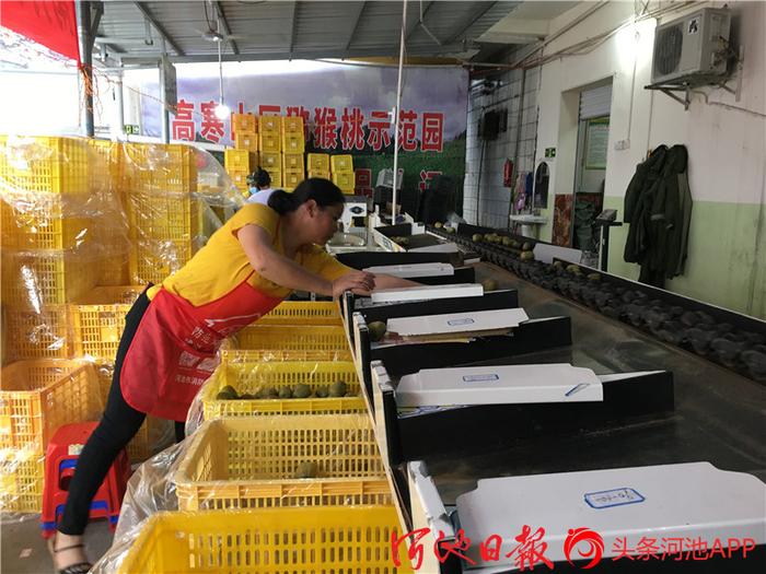 泗洪风力发电2020年_种植红心袖致富_俄罗斯地址英文