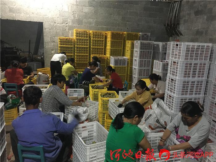 泗洪风力发电2020年_种植红心袖致富_俄罗斯地址英文