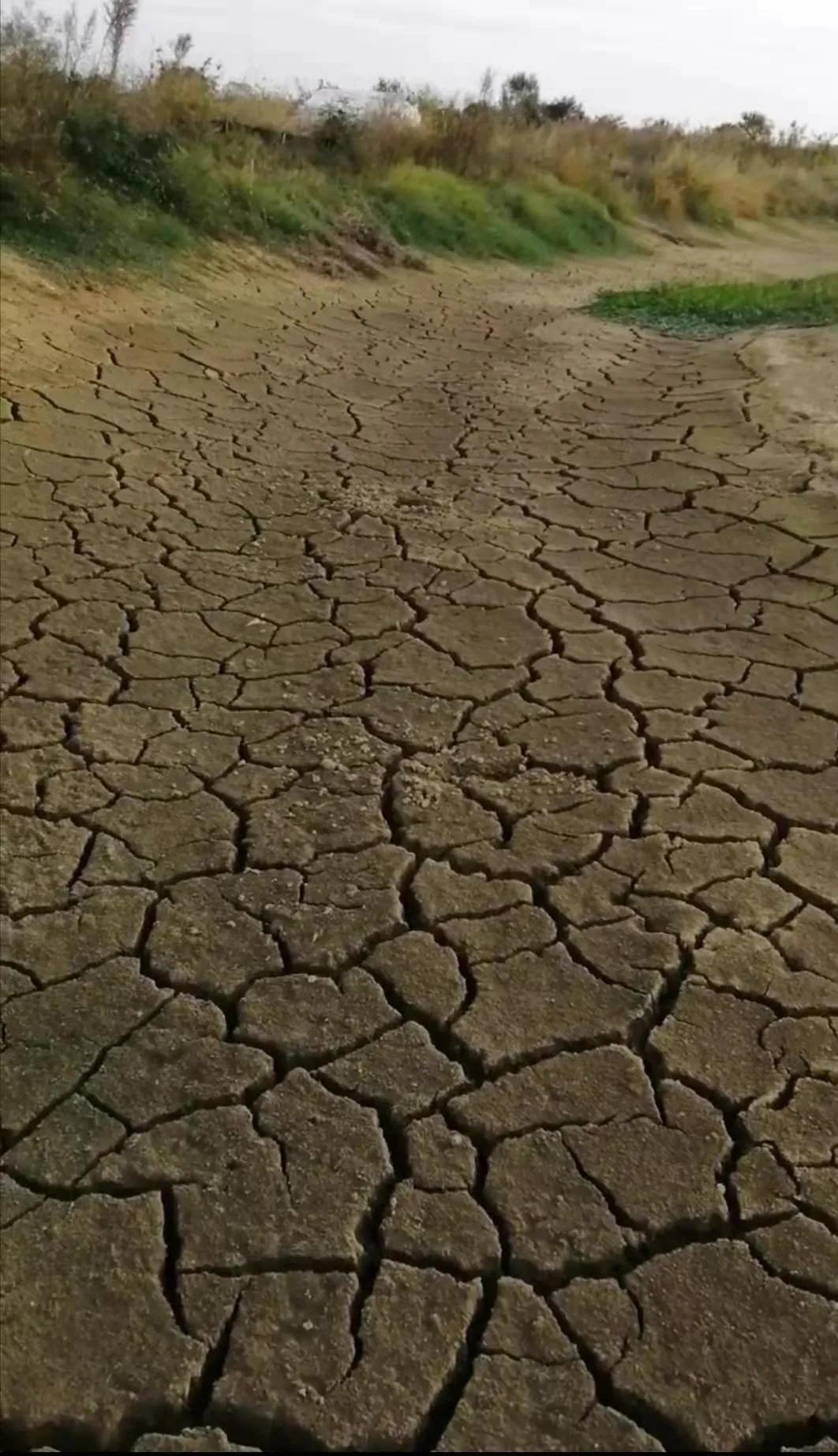 海南养虾赚钱吗_海南 河虾养殖技术_海南养殖河虾技术要求