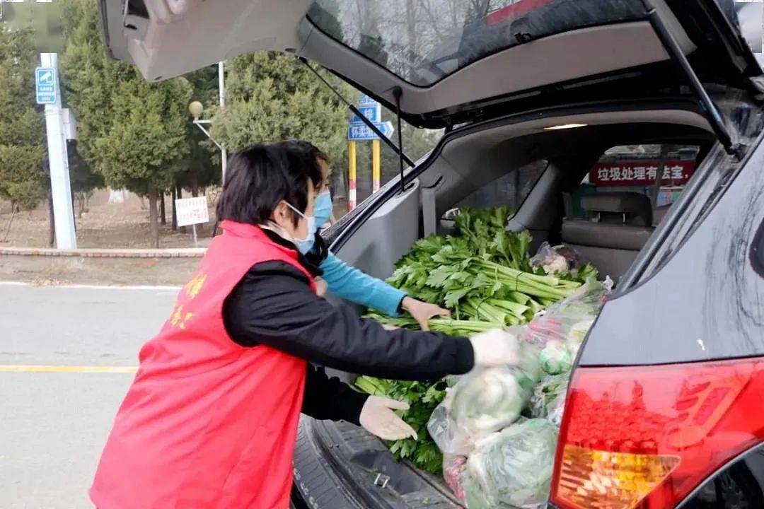 蘑菇致富种植故事大全_蘑菇种植致富故事_致富经蘑菇种植视频