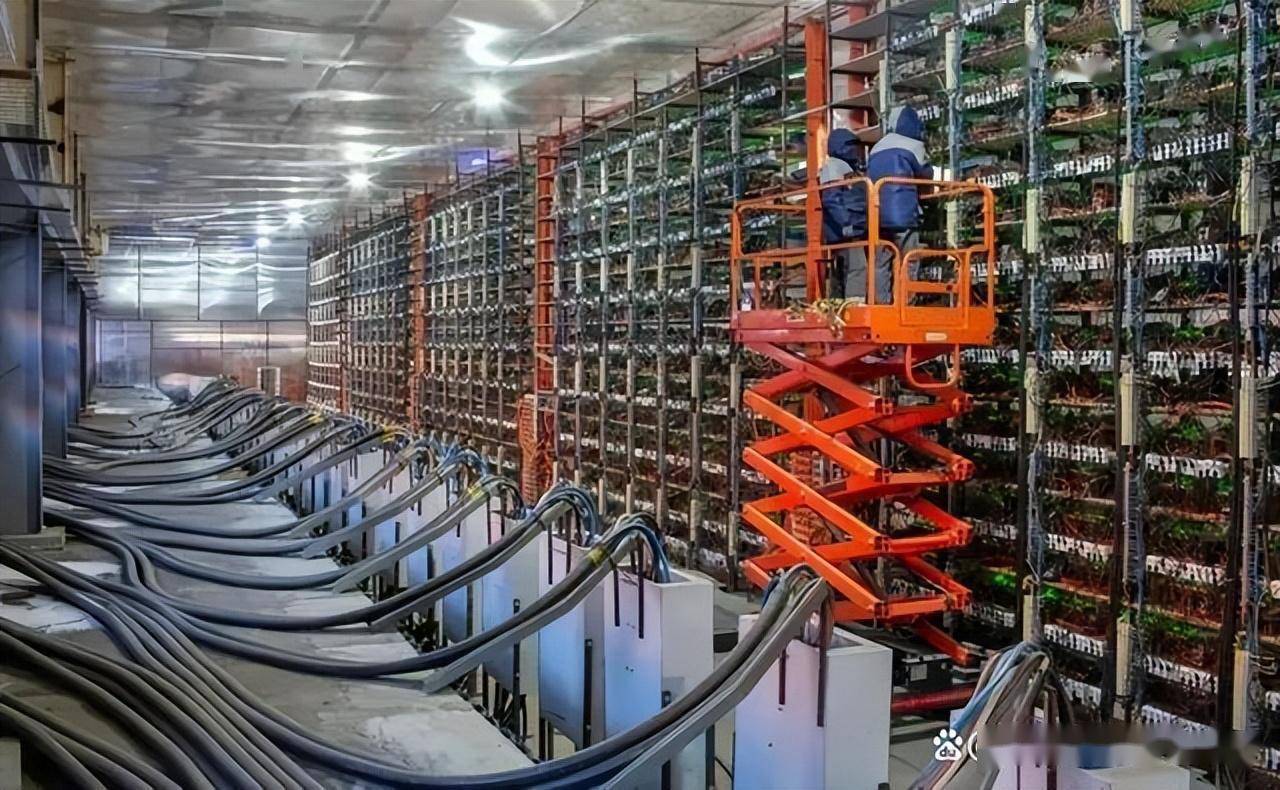 致富鼠养海狸好吗_养海狸鼠骗局_致富经养海狸鼠