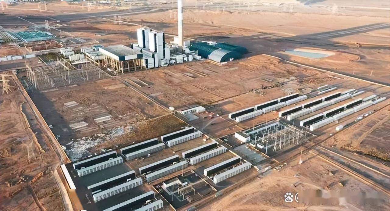 养海狸鼠骗局_致富经养海狸鼠_致富鼠养海狸好吗