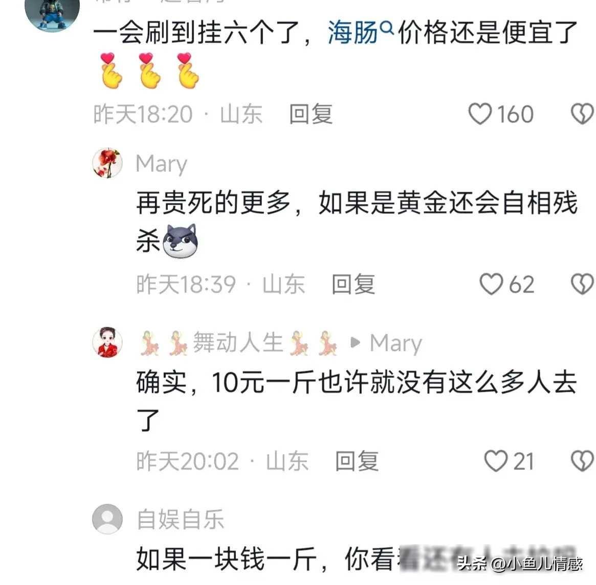 海肠养殖前景怎么样_海肠养殖致富_致富养殖海肠鱼