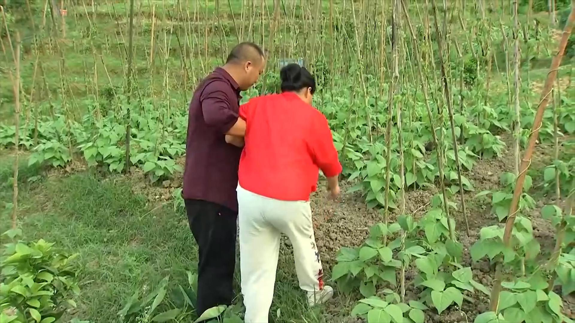 养殖致富经_养殖致富项目故事_致富养殖业