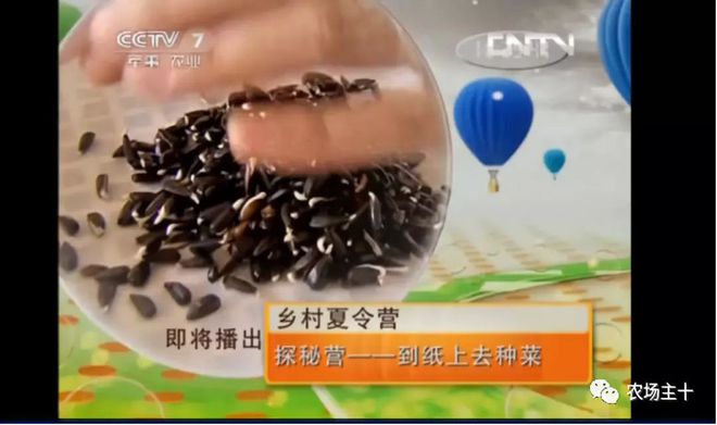 科技苑芽苗菜种植视频_芽苗菜种植技术培训_科技苑芽苗菜种植技术