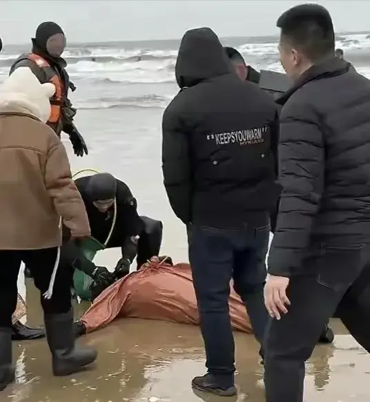 海肠养殖致富_海肠养殖有哪些政策背景_海肠养殖投资与收益