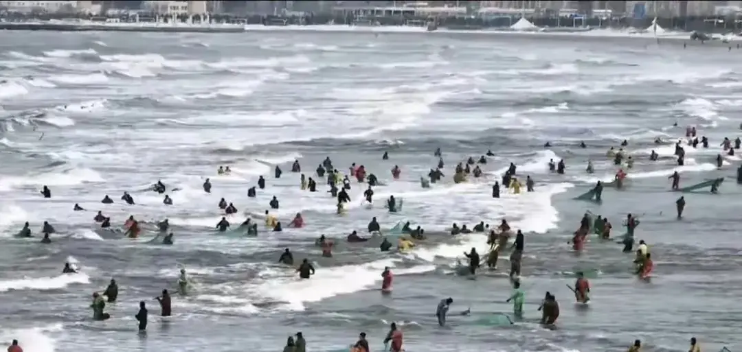 海肠养殖投资与收益_海肠养殖致富_海肠养殖有哪些政策背景