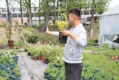 安徽濉溪95后青年返乡种植花卉带领村民致富