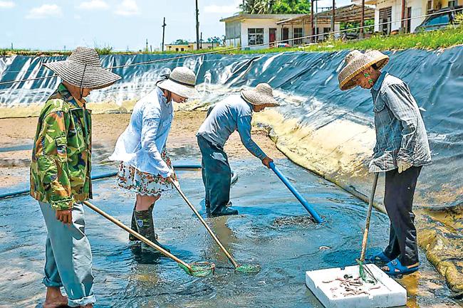 以“公司+基地+贫困户”模式发展特色扶贫产业，光村沙虫年产20万斤仍供不应求