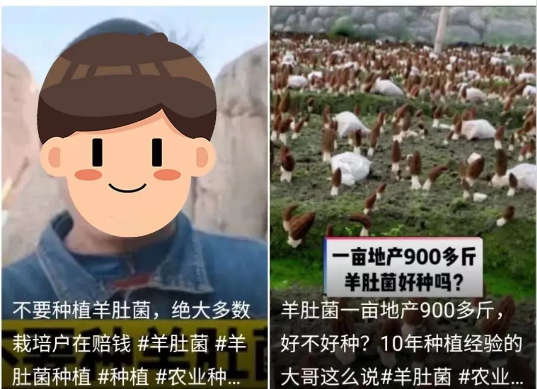 致富方向_北方靠什么赚钱_致富经北方一亩地赚60万
