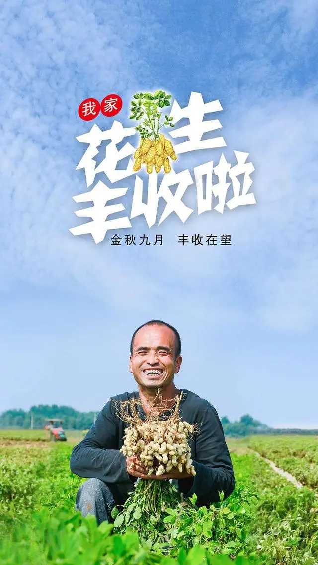 花生种植效益_花生致富种植技术视频_花生种植如何致富