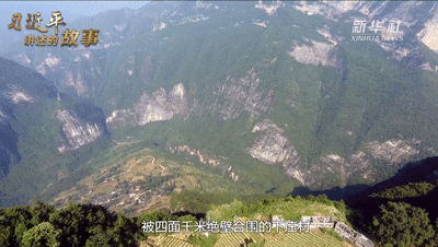 养殖致富路有哪些项目_养殖致富引路人_致富路上的特色养殖业