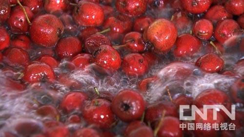 养蜜蜂致富经_致富经古老的养蜜蜂_蜜蜂养殖有前景吗