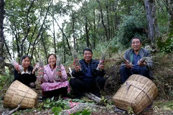 致富经云南龙陵县_致富经云南龙陵县_致富经云南龙陵县