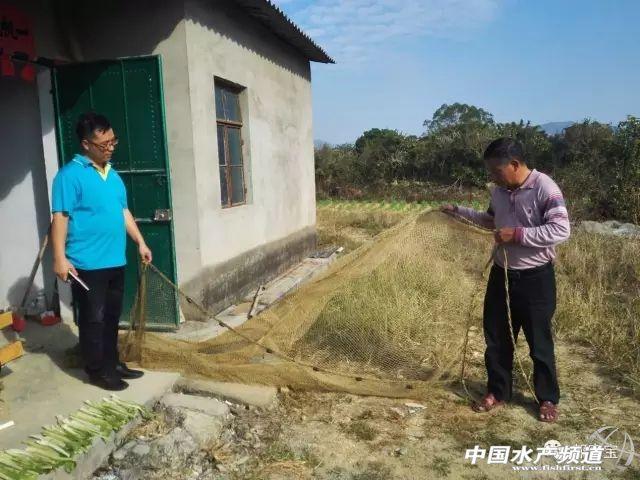 水蛙养殖技术_养蛙技术视频_蛙的养殖前景