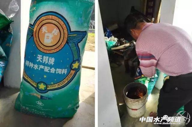 蛙的养殖前景_水蛙养殖技术_养蛙技术视频