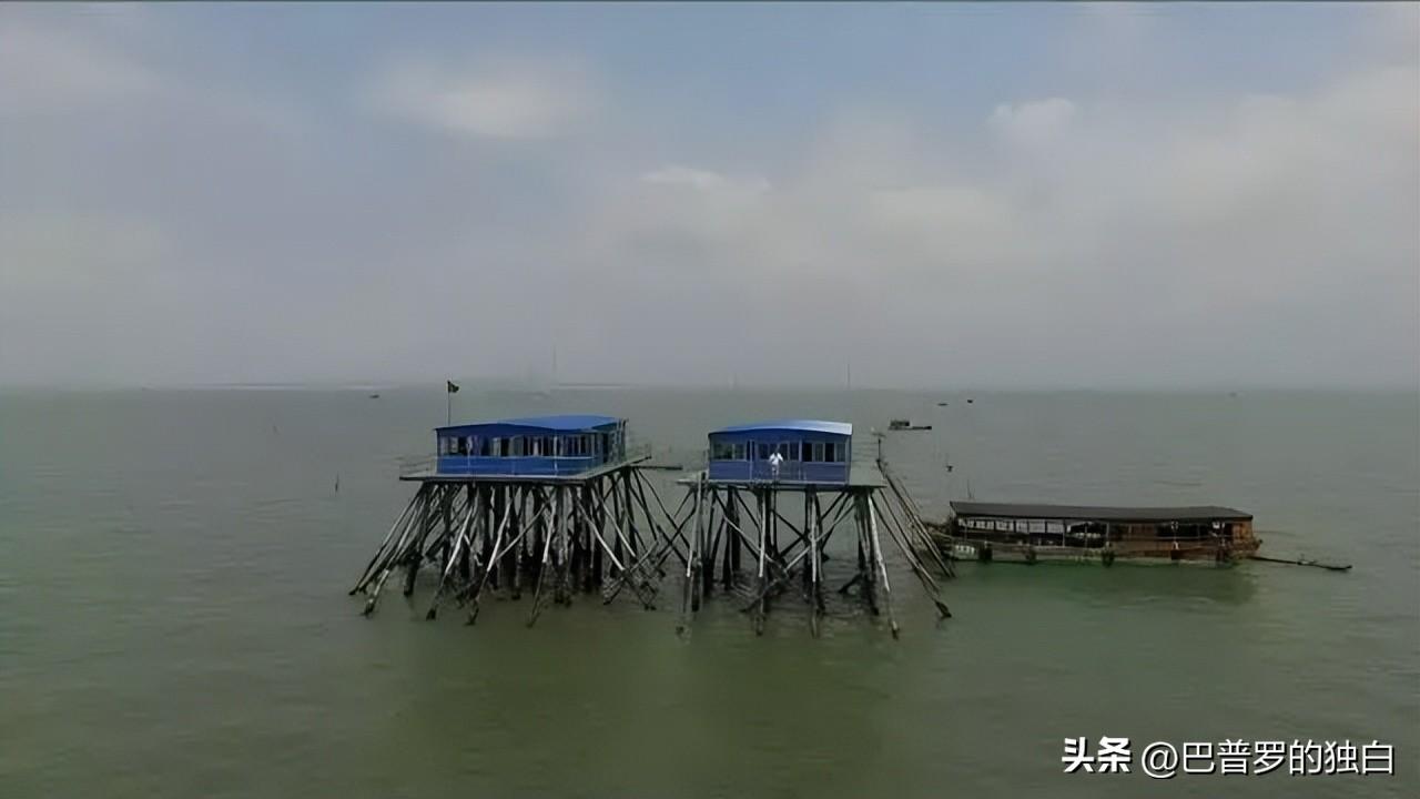农视网致富经养殖_致富网养殖业_致富养殖信息