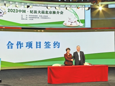 大蒜种植时间和方法河南_秋播大蒜栽培视频_河南大蒜秋季种植技术视频