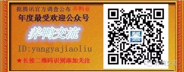 鹅养殖业技术_鹅网上养殖技术_鹅养殖网上技术有哪些