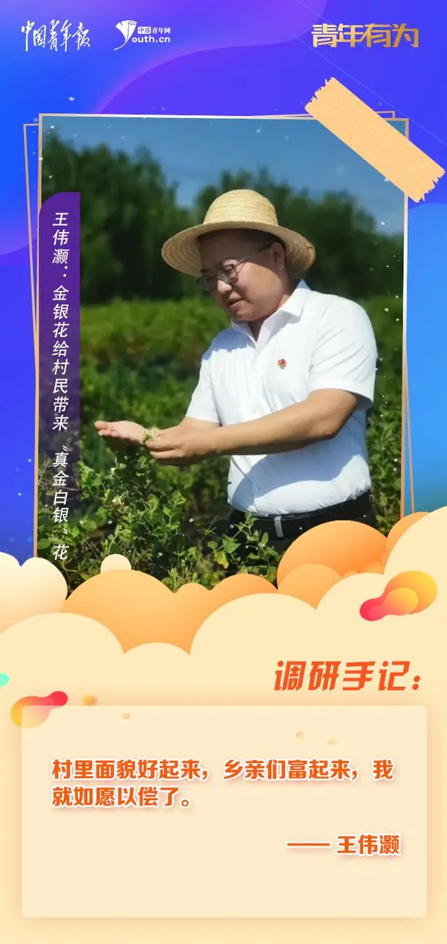 种植白芨前景_种植白芨致富项目_种植 白芨 致富