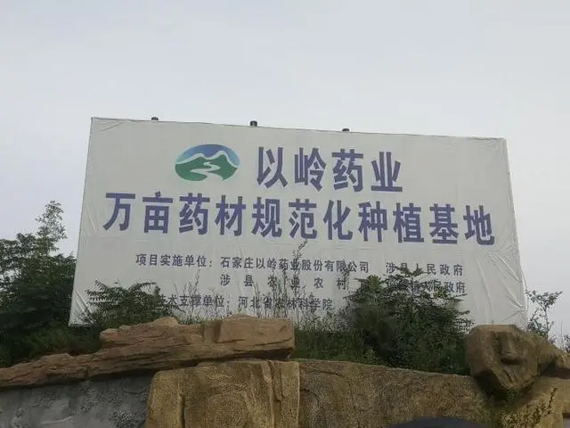 连翘种植骗局_连翘种植项目实施方案_连翘种植致富新闻