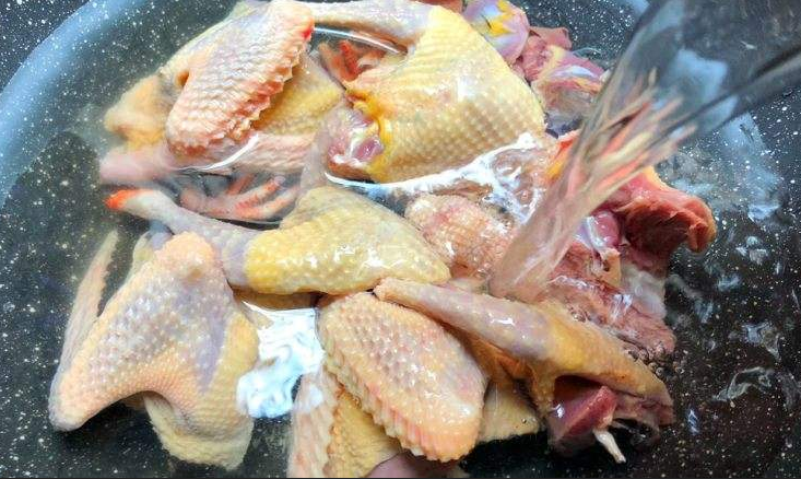 肉鸽子养殖技术_鸽子养殖过程_鸽子养殖肉技术要求