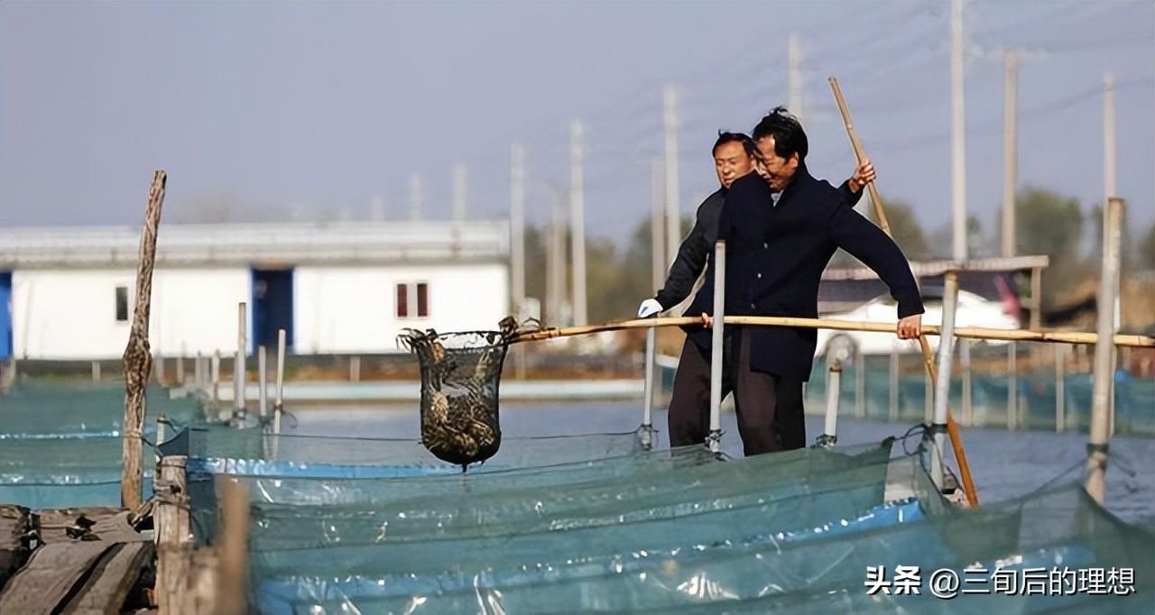 螃蟹养殖技术培训_螃蟹养殖培训基地_螃蟹培训养殖技术有哪些
