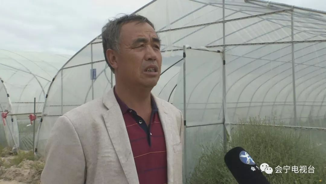 大棚种瓜技术视频_大棚种瓜的步骤_大棚种植致富瓜
