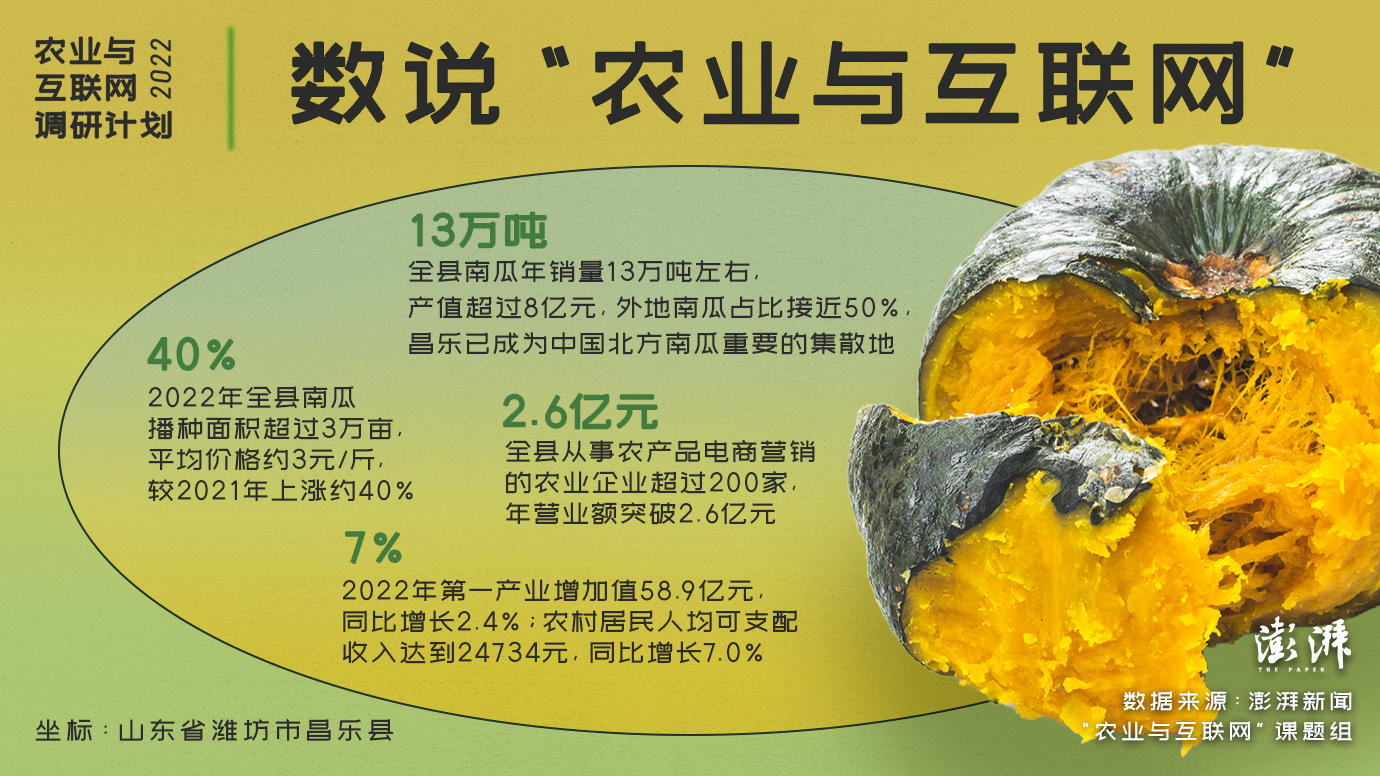 农业与互联网｜昌乐贝贝南瓜：“网红”蔬菜助力订单农业发展