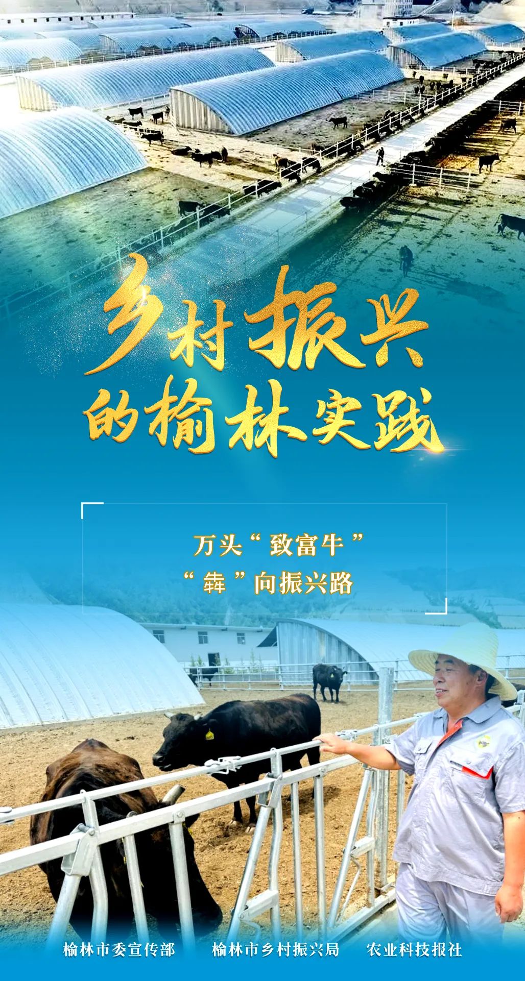 肉牛养殖致富新闻_致富经肉牛养殖场的视频_cctv养牛致富
