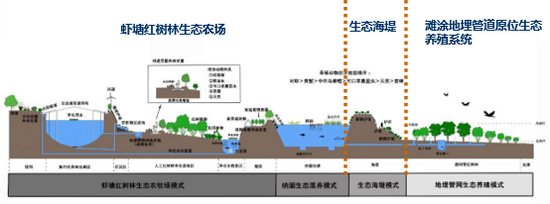 红树林滨海湿地一体化生态修复体系示意图