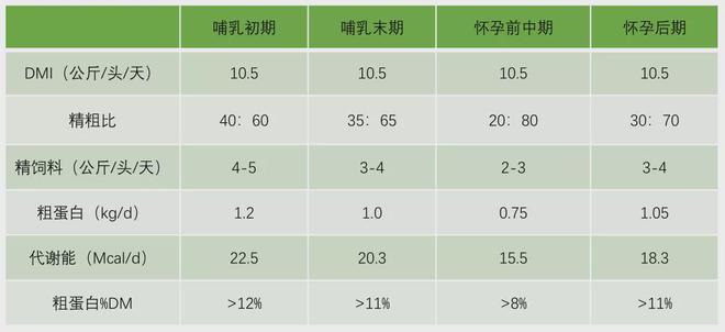 养殖方案指导肉羊技术有哪些_肉羊养殖技术指导方案_养殖方案指导肉羊技术怎么写