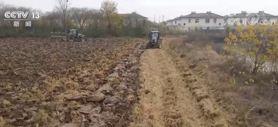 秸秆养虫视频_致富经用秸秆养虫_秸秆养殖技术