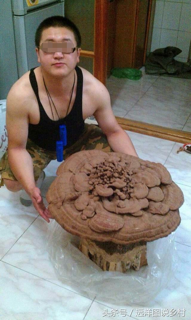 这5种农村种植骗局，今年已经很多人上当，大家千万小心