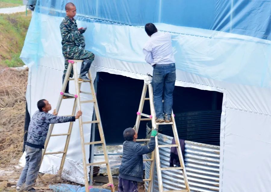 龙虾养殖家庭技术小视频大全_小龙虾家庭养殖技术_龙虾养殖技术教程