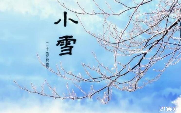 田螺的养殖方法及养殖管理要点