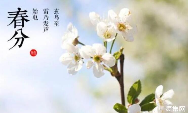 田螺的养殖方法及养殖管理要点