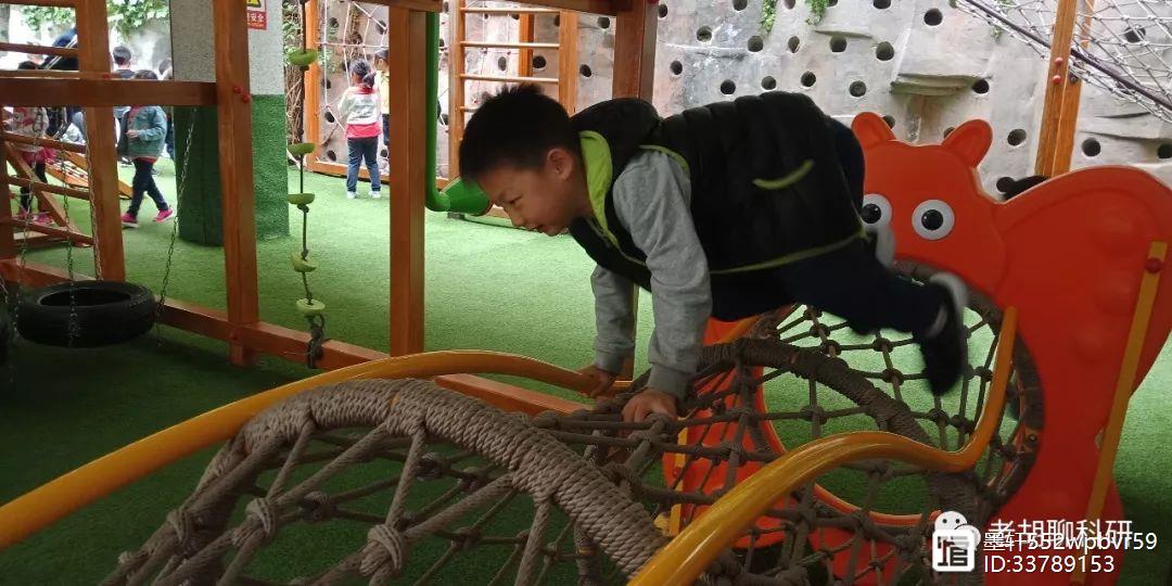 晨间锻炼方案_优质晨间锻炼分享经验_晨间锻炼活动内容