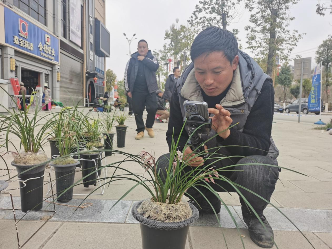 养兰致富经_国兰养殖致富_兰花致富经