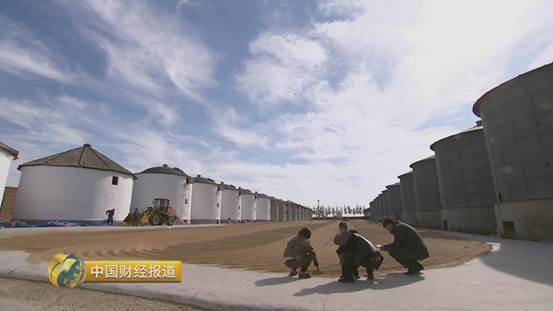 稻蟹养殖技术_稻蟹养殖必备条件_稻蟹种养