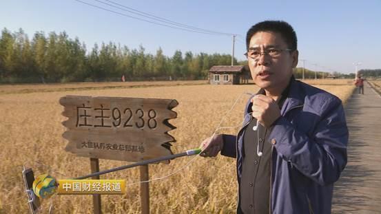 稻蟹养殖技术_稻蟹养殖必备条件_稻蟹种养