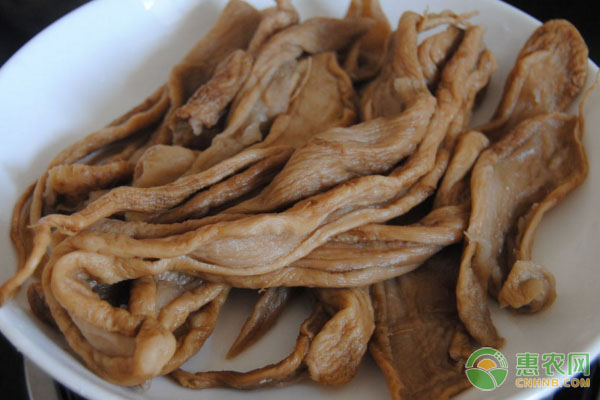 山野菜致富经_种植山野菜前景怎么样视频_山野菜价格