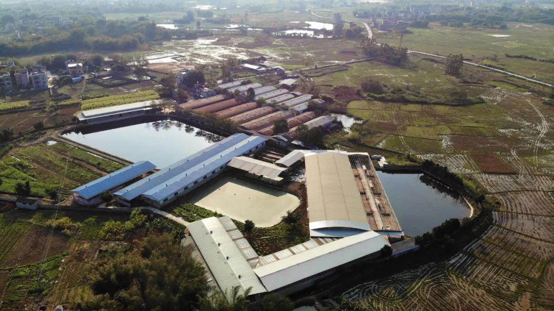 绿色养殖致富技术_绿色养殖业_致富养殖绿色技术研究